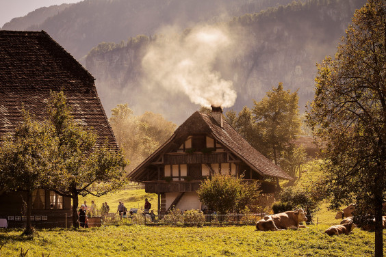 Ballenberg Freilichtmuseum
